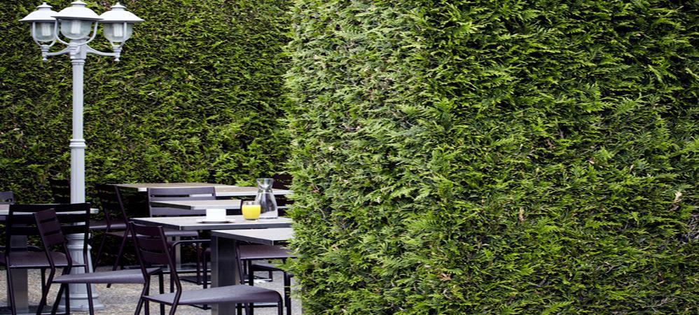 Campanile Grenoble Nord - Saint-Egreve Hotel Restoran foto